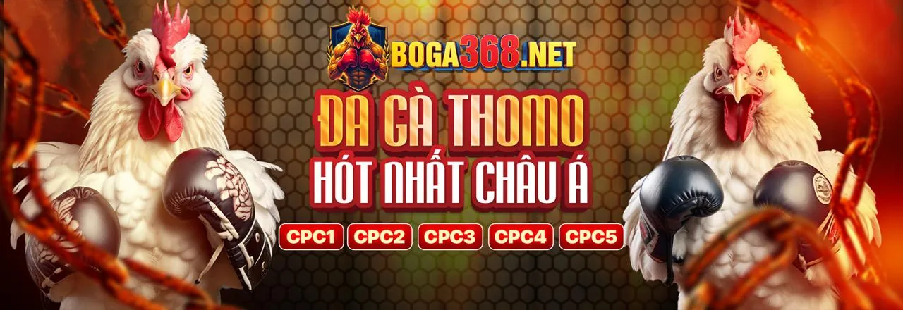 Hỗ trợ khách hàng 24/7 go666